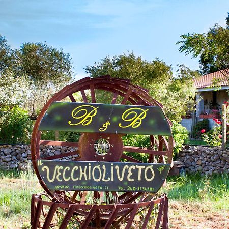 Il Vecchioliveto Di Ornella Bed and Breakfast Marrùbiu Eksteriør billede