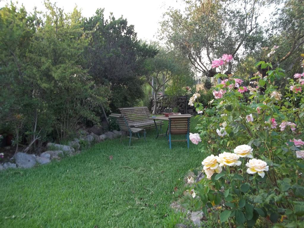 Il Vecchioliveto Di Ornella Bed and Breakfast Marrùbiu Værelse billede