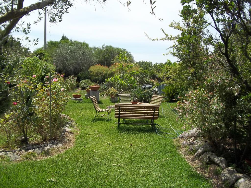 Il Vecchioliveto Di Ornella Bed and Breakfast Marrùbiu Værelse billede