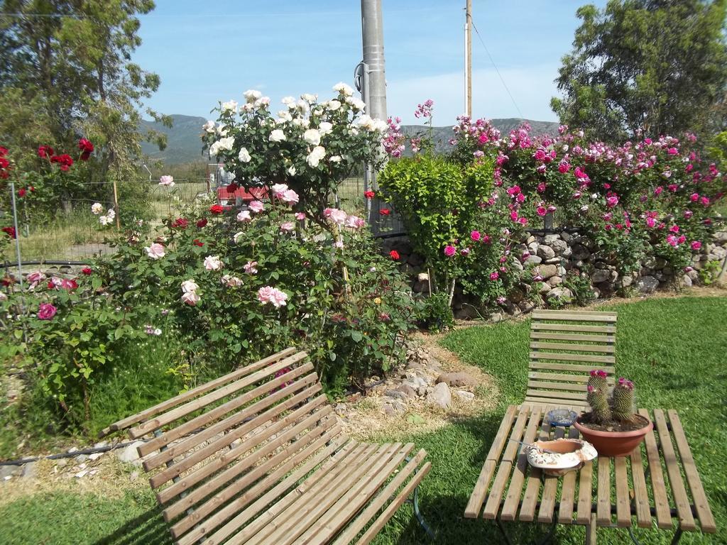 Il Vecchioliveto Di Ornella Bed and Breakfast Marrùbiu Værelse billede