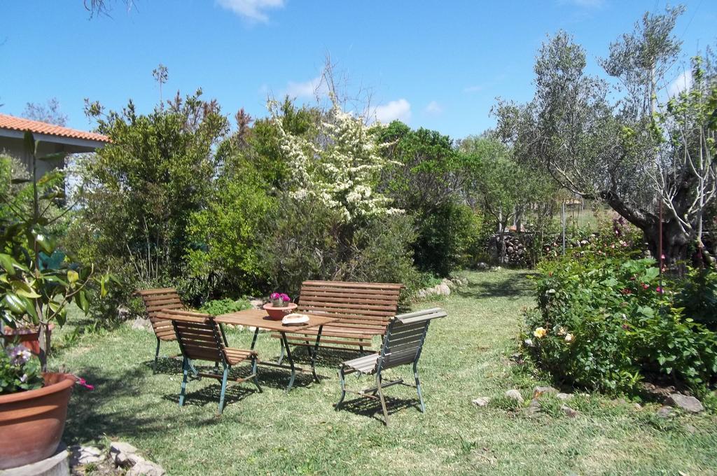 Il Vecchioliveto Di Ornella Bed and Breakfast Marrùbiu Eksteriør billede