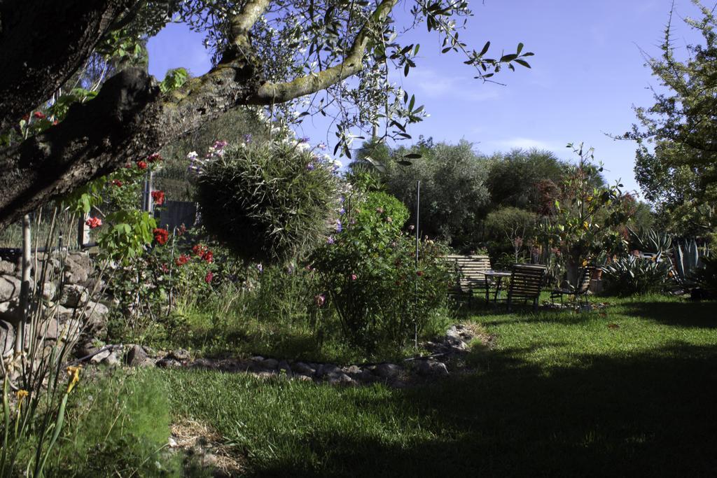Il Vecchioliveto Di Ornella Bed and Breakfast Marrùbiu Eksteriør billede