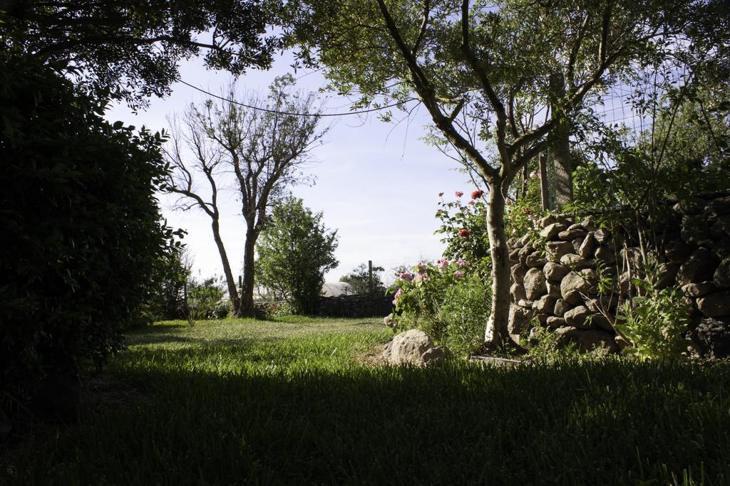 Il Vecchioliveto Di Ornella Bed and Breakfast Marrùbiu Eksteriør billede