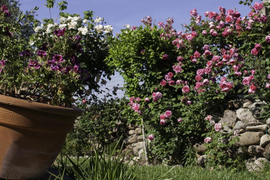 Il Vecchioliveto Di Ornella Bed and Breakfast Marrùbiu Eksteriør billede
