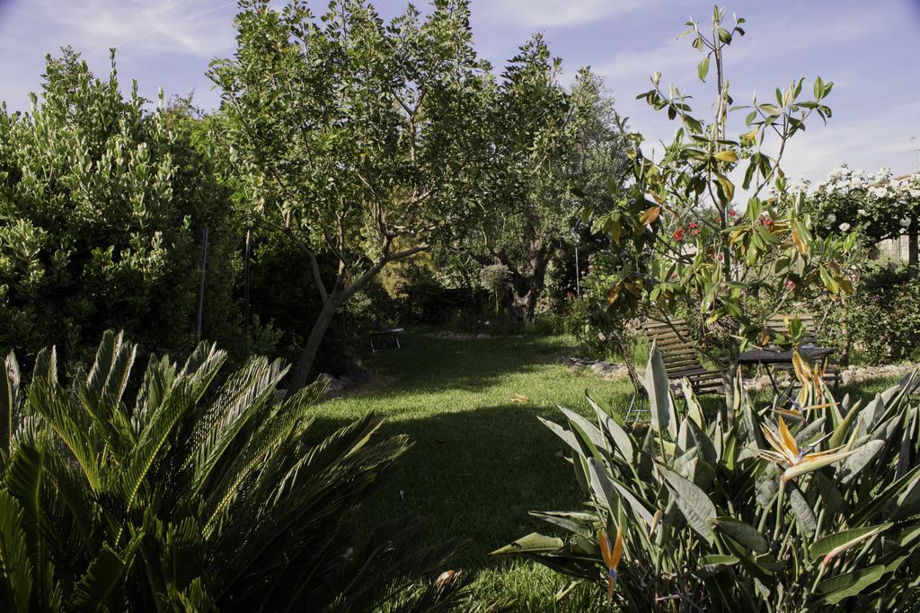 Il Vecchioliveto Di Ornella Bed and Breakfast Marrùbiu Eksteriør billede