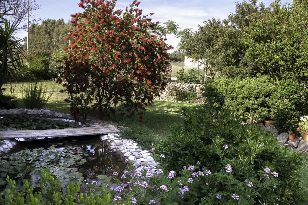 Il Vecchioliveto Di Ornella Bed and Breakfast Marrùbiu Eksteriør billede