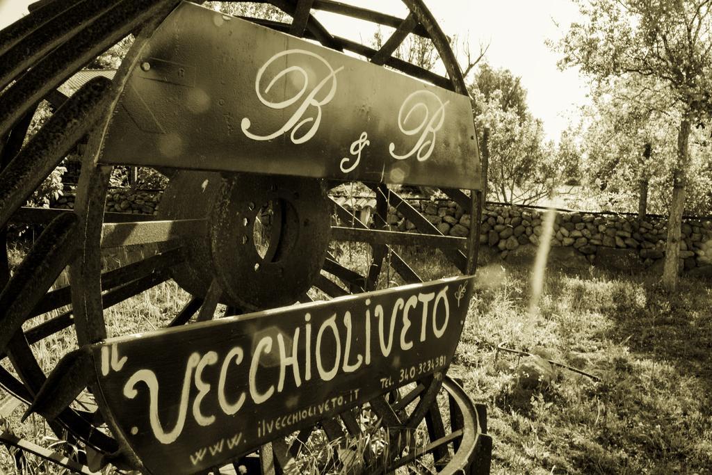 Il Vecchioliveto Di Ornella Bed and Breakfast Marrùbiu Eksteriør billede