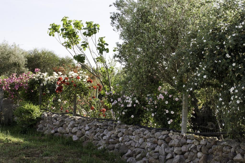 Il Vecchioliveto Di Ornella Bed and Breakfast Marrùbiu Eksteriør billede