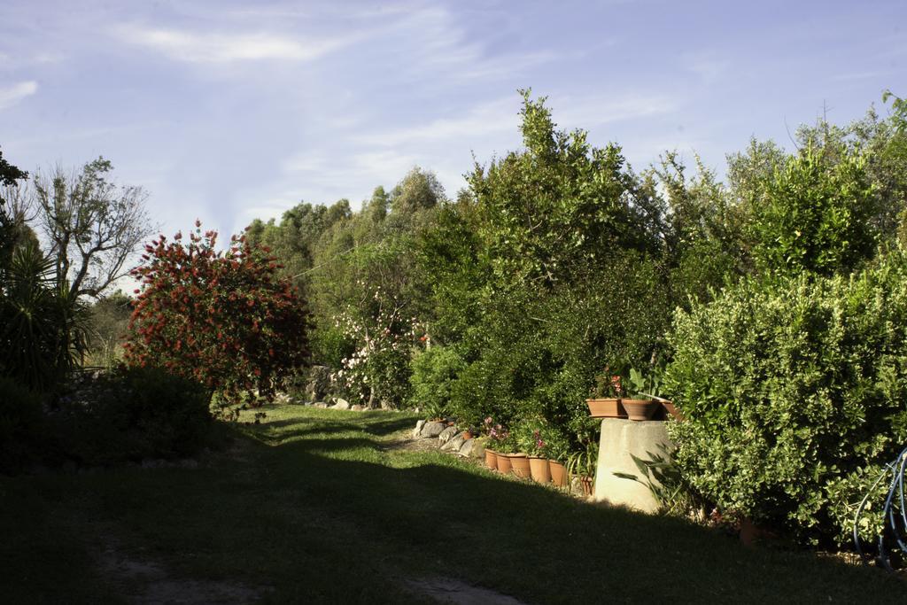 Il Vecchioliveto Di Ornella Bed and Breakfast Marrùbiu Eksteriør billede