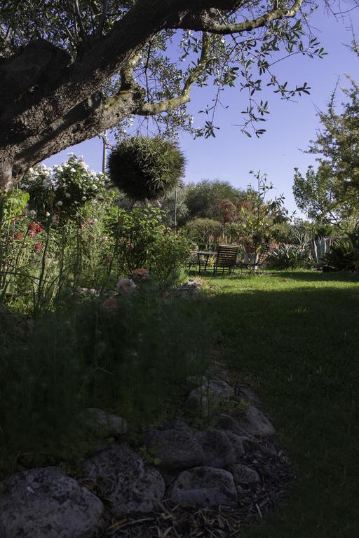 Il Vecchioliveto Di Ornella Bed and Breakfast Marrùbiu Eksteriør billede