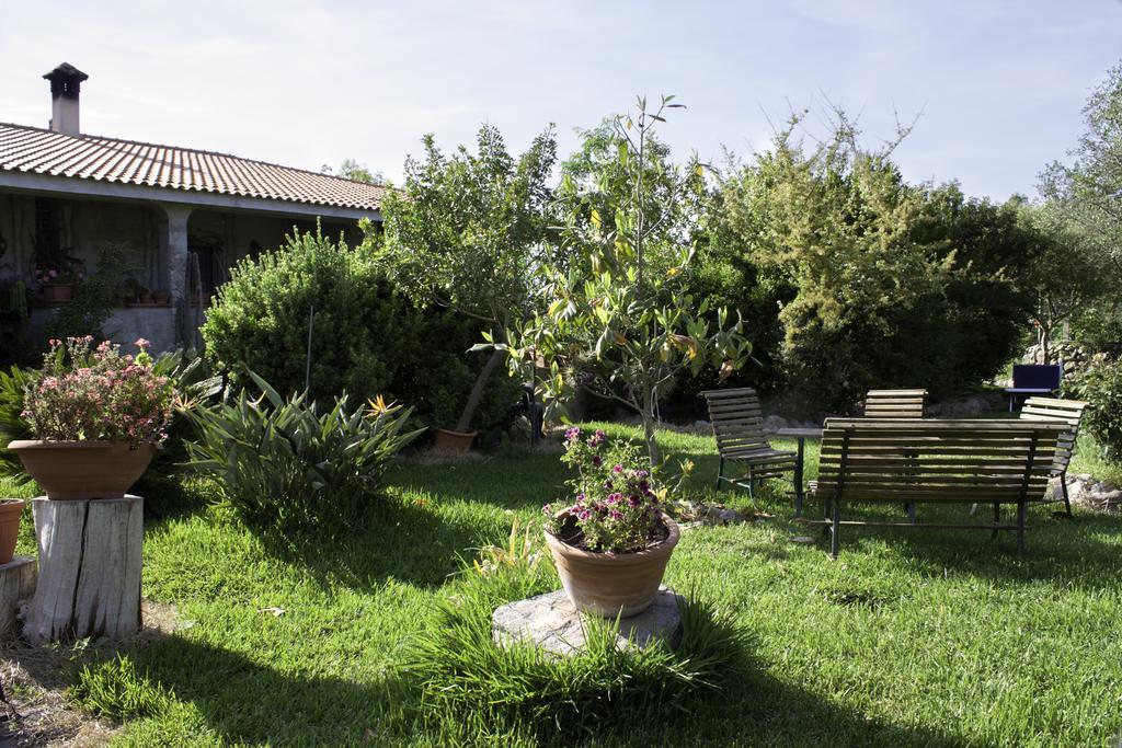 Il Vecchioliveto Di Ornella Bed and Breakfast Marrùbiu Eksteriør billede