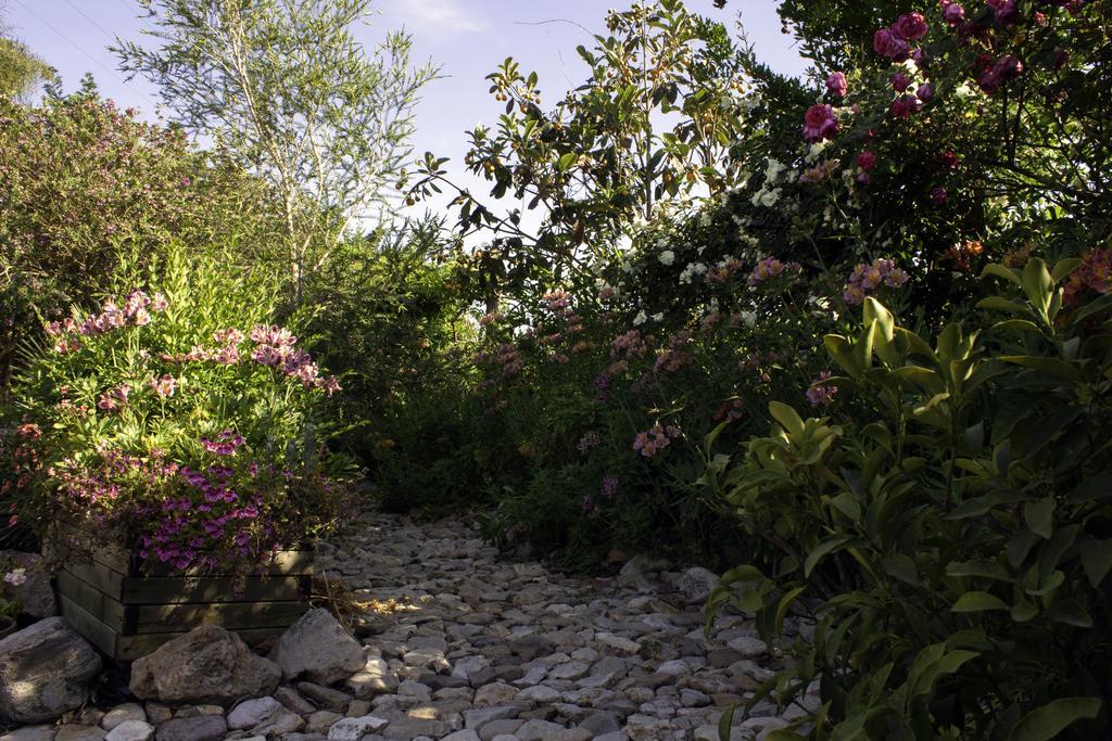 Il Vecchioliveto Di Ornella Bed and Breakfast Marrùbiu Eksteriør billede